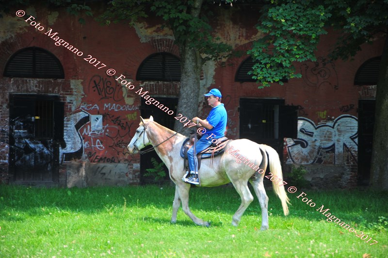 DSC_0933.JPG